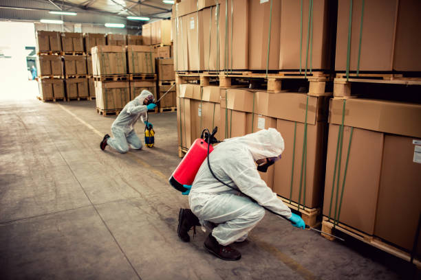 Best Pest Inspection Near Me  in Montpelier, VT