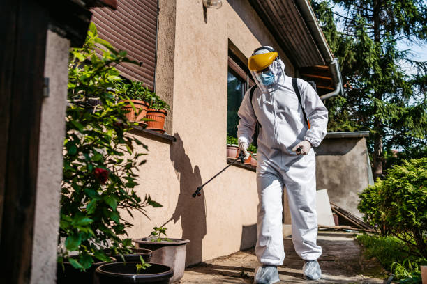 Wildlife Control Services in Montpelier, VT