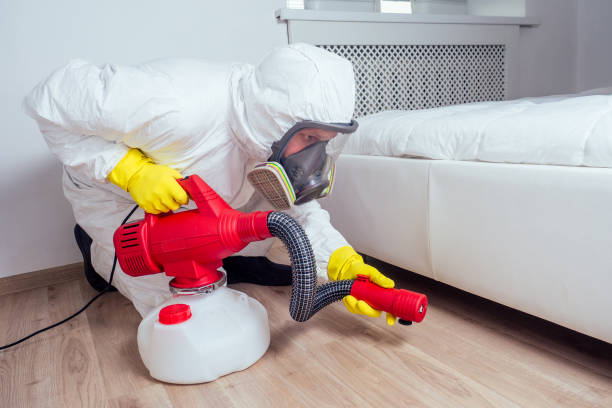 Trusted Montpelier, VT Pest Control Experts