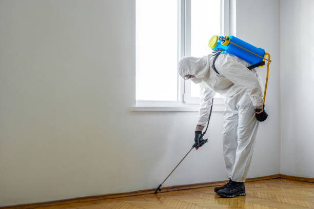 Best Bed Bug Extermination  in Montpelier, VT