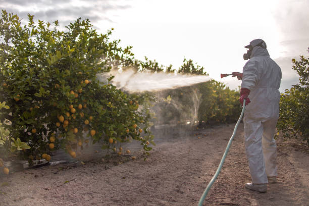 Reliable Montpelier, VT Pest Control Solutions