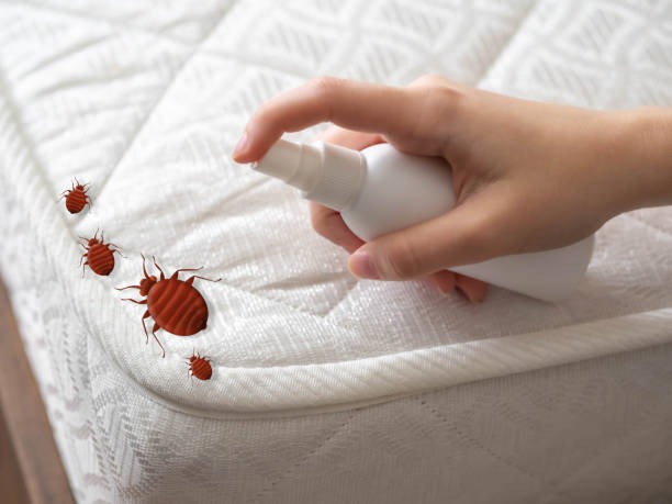 Best Emergency Pest Control  in Montpelier, VT