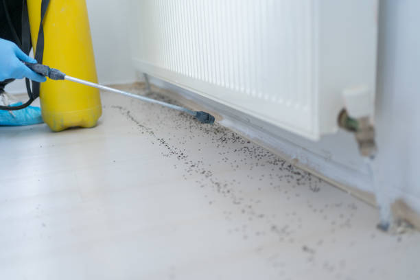 Best Residential Pest Control  in Montpelier, VT