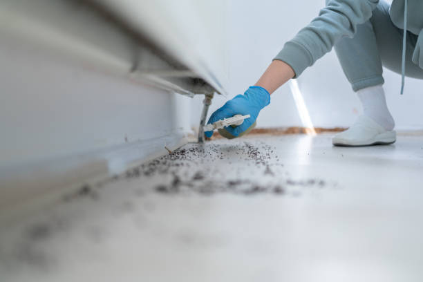 Best Wildlife Control Services  in Montpelier, VT